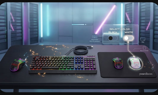 Black Gaming Setup