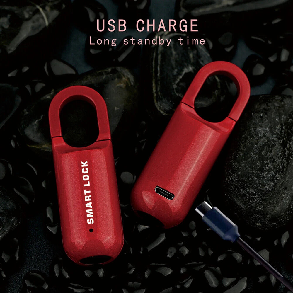 Biometric Fingerprint Electronic Lock - Keyless USB Rechargeable Security Padlock for Smart Home and Handbag Protection