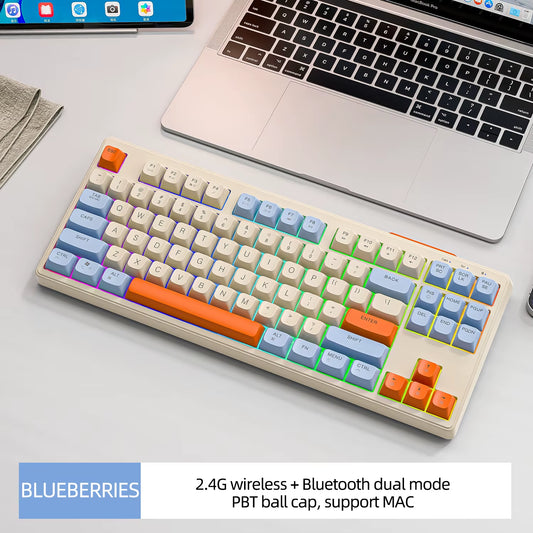 M87 Dual Mode Bluetooth Wireless Gaming Keyboard, 87 Keys with RGB Rainbow Lighting and PBT Keycaps for Quiet Office and Gaming Use